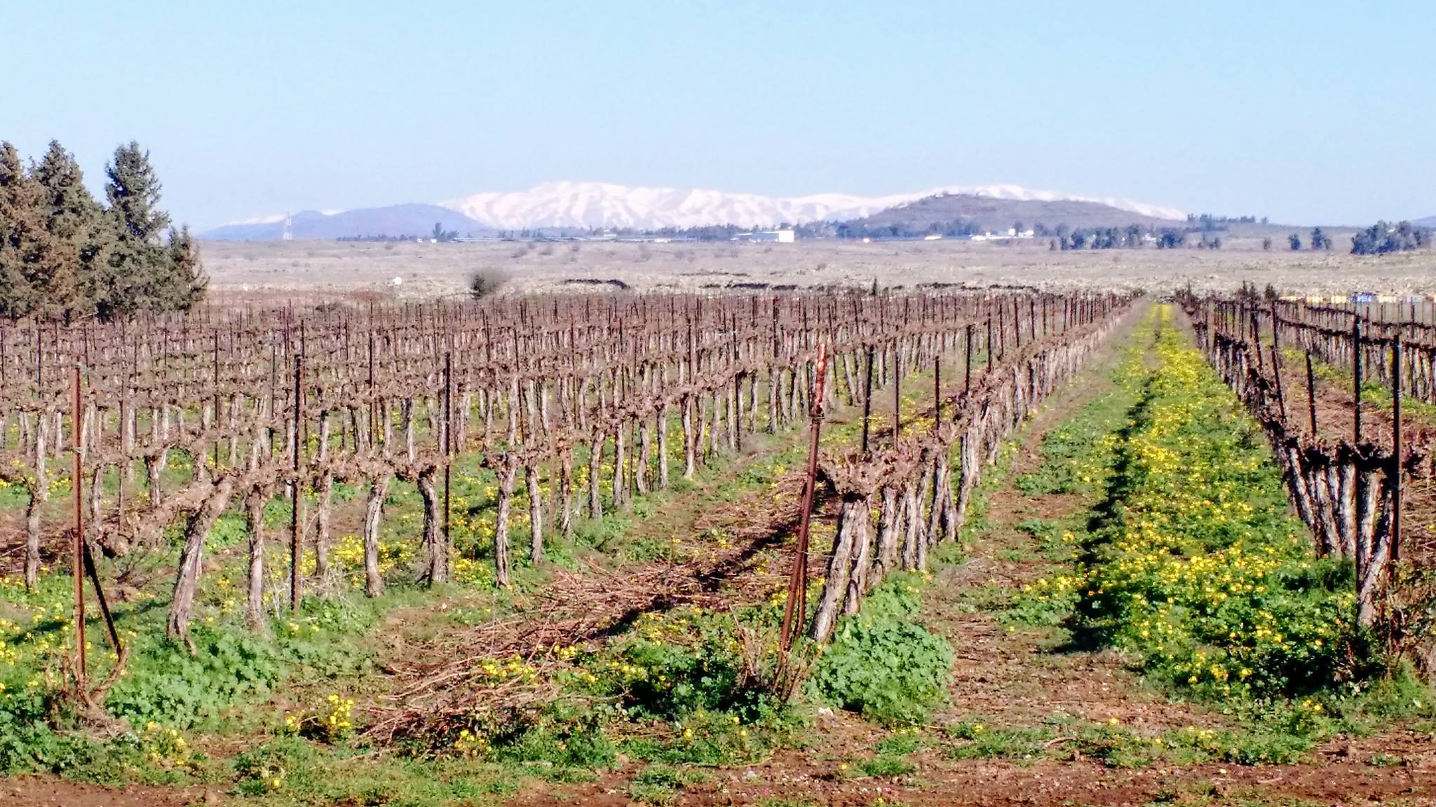 Open spaces of the Golan